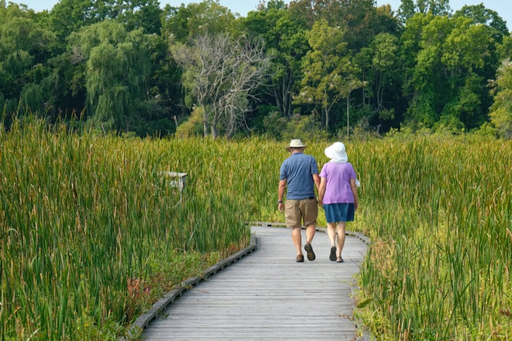 Couple de seniors en promenade